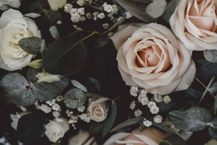 Ivory and blush roses with gypsophila and eucalyptus